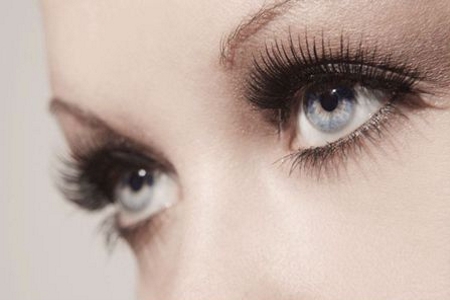  formation rehaussement des cils et lash botox